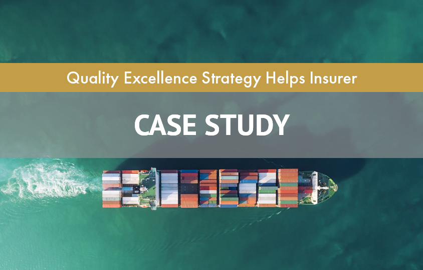 Quality Excellence Strategy Helps Achiev GS